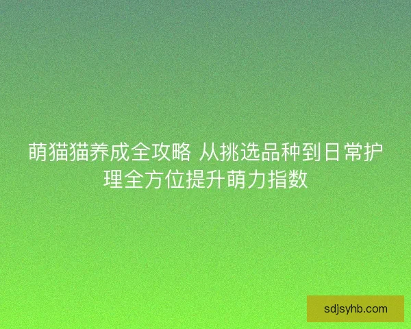 萌猫猫养成全攻略 从挑选品种到日常护理全方位提升萌力指数