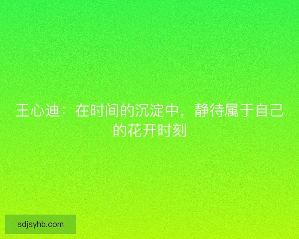 王心迪：在时间的沉淀中，静待属于自己的花开时刻
